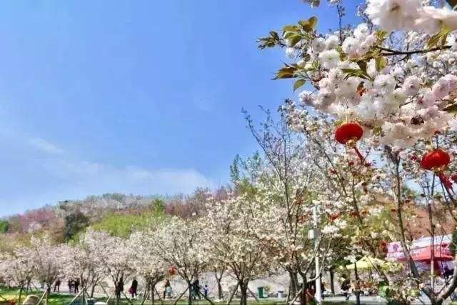 長沙潯龍河櫻花谷、田漢文化園一日游